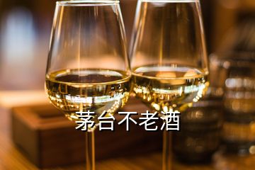 茅臺(tái)不老酒