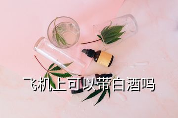 飛機(jī)上可以帶白酒嗎