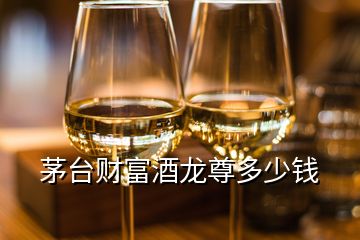 茅臺(tái)財(cái)富酒龍尊多少錢