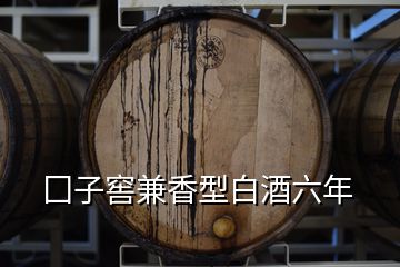 囗子窖兼香型白酒六年