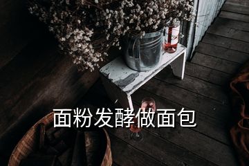 面粉發(fā)酵做面包