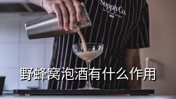 野蜂窩泡酒有什么作用