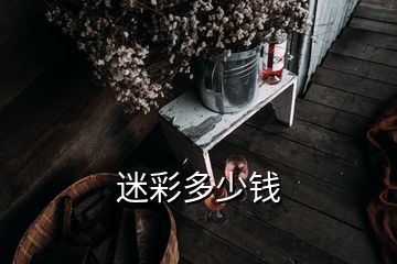 迷彩多少錢