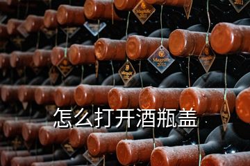 怎么打開(kāi)酒瓶蓋