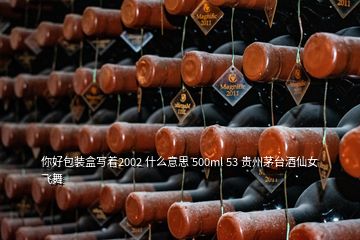 你好包裝盒寫著2002 什么意思 500ml 53 貴州茅臺(tái)酒仙女飛舞