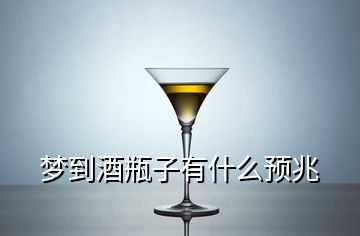 夢(mèng)到酒瓶子有什么預(yù)兆