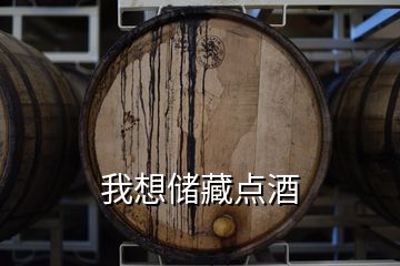 我想儲藏點酒