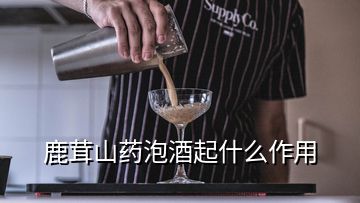 鹿茸山藥泡酒起什么作用