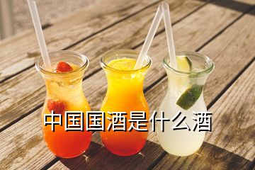 中國(guó)國(guó)酒是什么酒