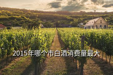 2015年哪個(gè)市白酒消費(fèi)量最大