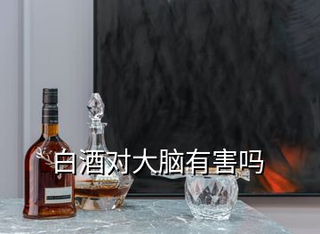 白酒對大腦有害嗎