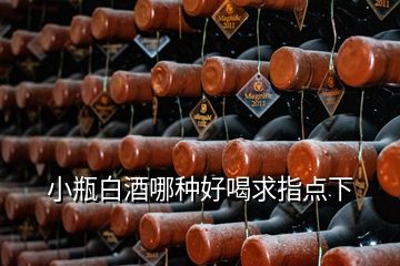 小瓶白酒哪種好喝求指點(diǎn)下