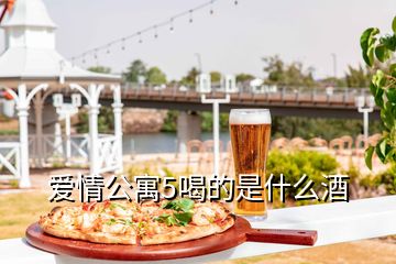 愛情公寓5喝的是什么酒