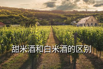 甜米酒和白米酒的區(qū)別