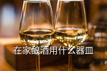 在家釀酒用什么器皿