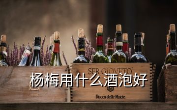 楊梅用什么酒泡好