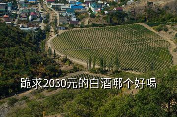 跪求2030元的白酒哪個(gè)好喝