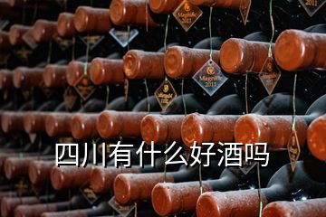 四川有什么好酒嗎