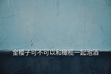 金櫻子可不可以和橄欖一起泡酒