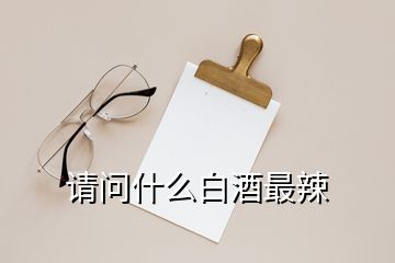 請(qǐng)問(wèn)什么白酒最辣