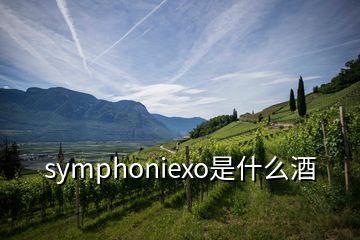 symphoniexo是什么酒