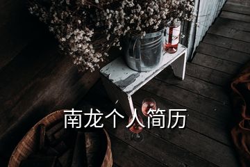 南龍個(gè)人簡(jiǎn)歷