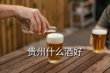 貴州什么酒好