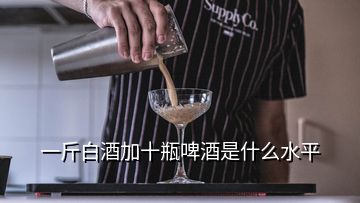 一斤白酒加十瓶啤酒是什么水平