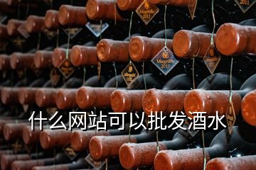 什么網(wǎng)站可以批發(fā)酒水