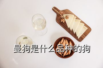 曼狗是什么品種的狗