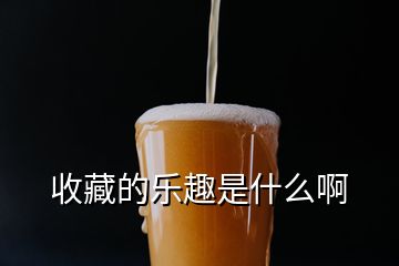 收藏的樂趣是什么啊