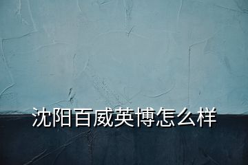 沈陽百威英博怎么樣