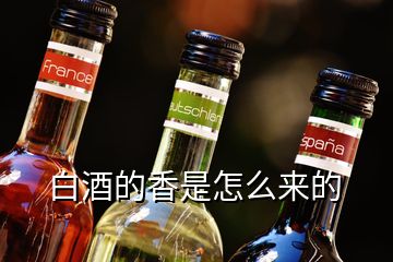 白酒的香是怎么來的