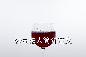 公司法人簡(jiǎn)介范文