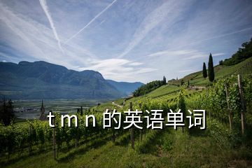 t m n 的英語單詞