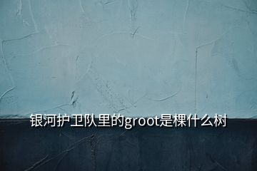 銀河護(hù)衛(wèi)隊里的groot是棵什么樹