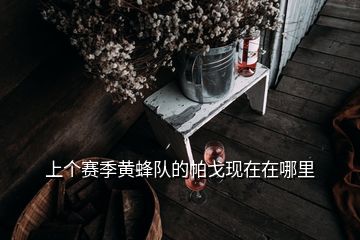 上個(gè)賽季黃蜂隊(duì)的帕戈現(xiàn)在在哪里