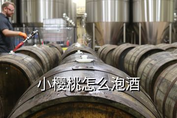 小櫻桃怎么泡酒