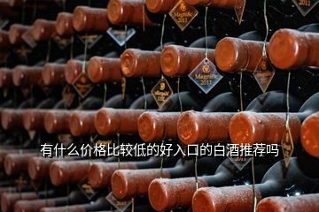 有什么價格比較低的好入口的白酒推薦嗎