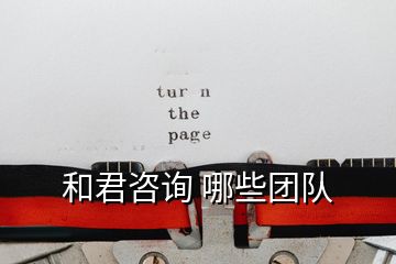 和君咨詢 哪些團(tuán)隊(duì)