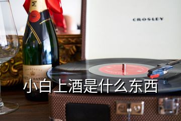 小白上酒是什么東西