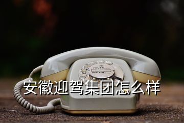 安徽迎駕集團(tuán)怎么樣