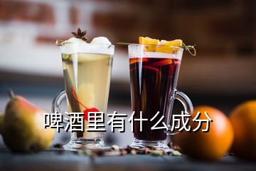 啤酒里有什么成分