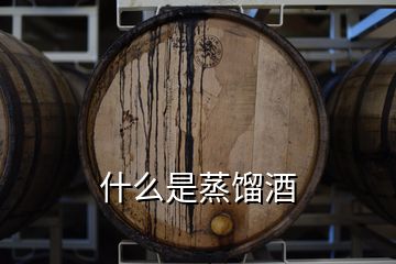 什么是蒸餾酒