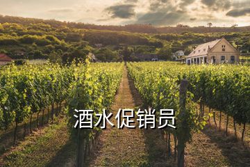 酒水促銷員