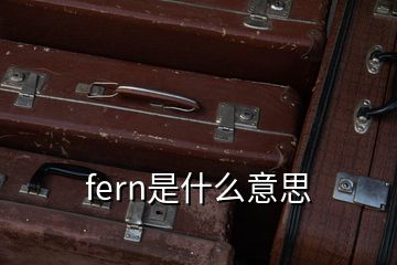 fern是什么意思