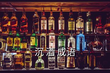 沉 酒 成語