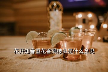 花開知春重花香滿枝頭是什么意思