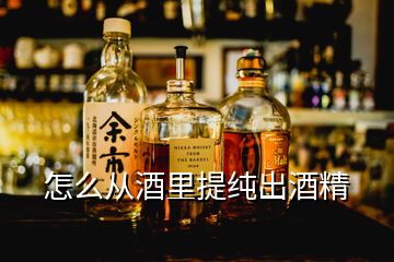 怎么從酒里提純出酒精