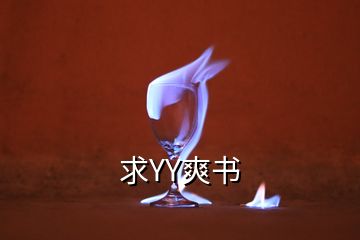 求YY爽書